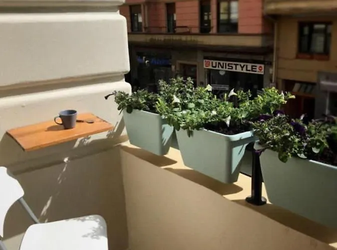 Cabernet Sauvignon Apartment. Surf San Sebastian